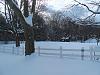In the past 24 hours I've shoveled 7000lbs of snow-ss10.jpg