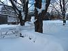 In the past 24 hours I've shoveled 7000lbs of snow-ss11.jpg