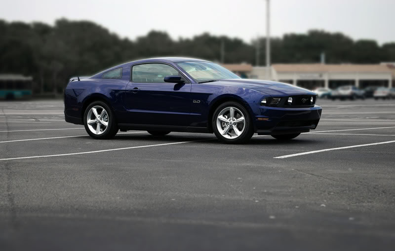 Name:  IMGP4286_re2_small.jpg
Views: 72
Size:  54.4 KB