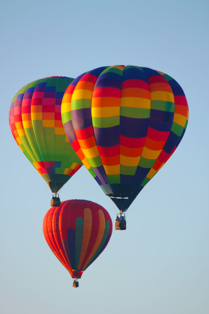 Name:  IMG_2676a.jpg
Views: 35
Size:  106.4 KB