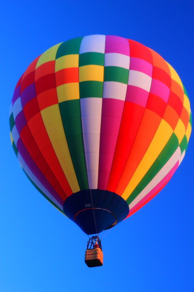 Name:  IMG_2214a.jpg
Views: 40
Size:  120.8 KB