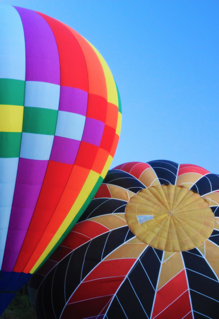 Name:  IMG_2133a.jpg
Views: 46
Size:  101.5 KB