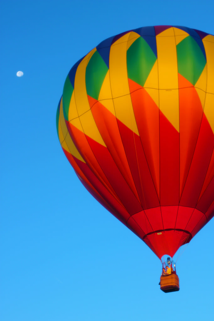 Name:  IMG_2495a.jpg
Views: 47
Size:  93.1 KB