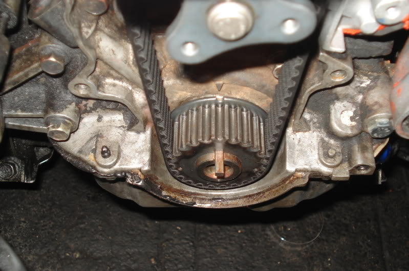 Name:  DSC09734.jpg
Views: 133
Size:  97.4 KB