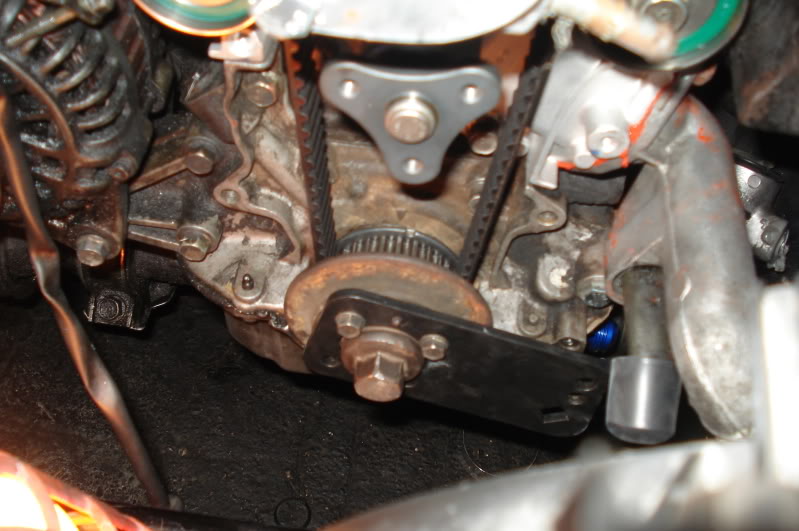 Name:  DSC09729.jpg
Views: 120
Size:  86.6 KB