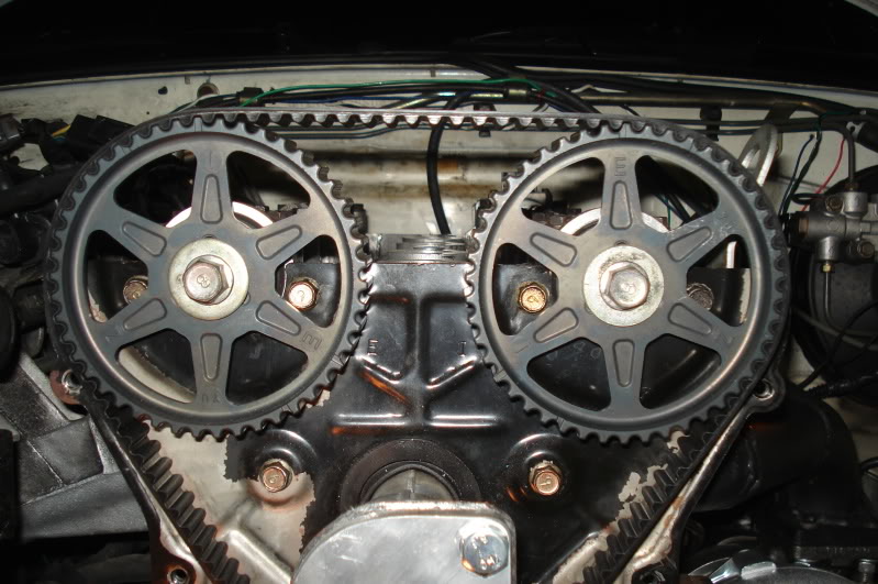 Name:  DSC09730.jpg
Views: 120
Size:  109.2 KB