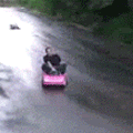 Name:  120_toycar.gif
Views: 118
Size:  269.6 KB