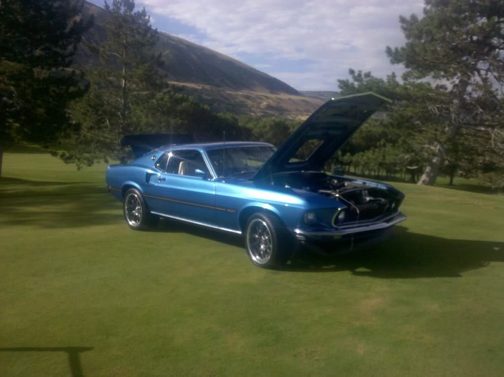 Name:  IMG_20100717_090929.jpg
Views: 34
Size:  95.3 KB