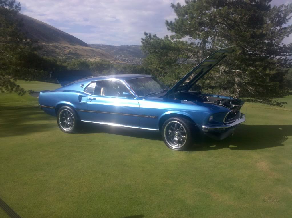 Name:  IMG_20100717_090936.jpg
Views: 36
Size:  129.8 KB