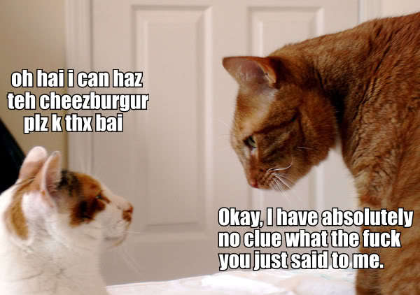 Name:  no_clue_what_you_just_said.jpg
Views: 42
Size:  53.1 KB