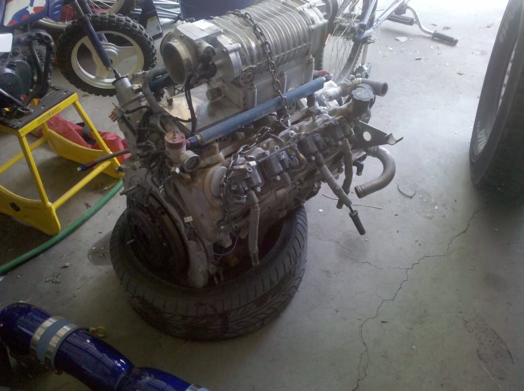 Name:  2010-06-09132237.jpg
Views: 44
Size:  123.2 KB