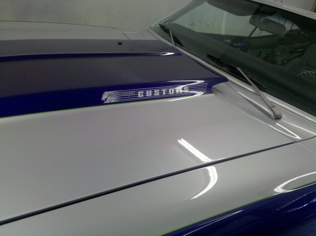 Name:  2010-06-09180312.jpg
Views: 47
Size:  67.1 KB