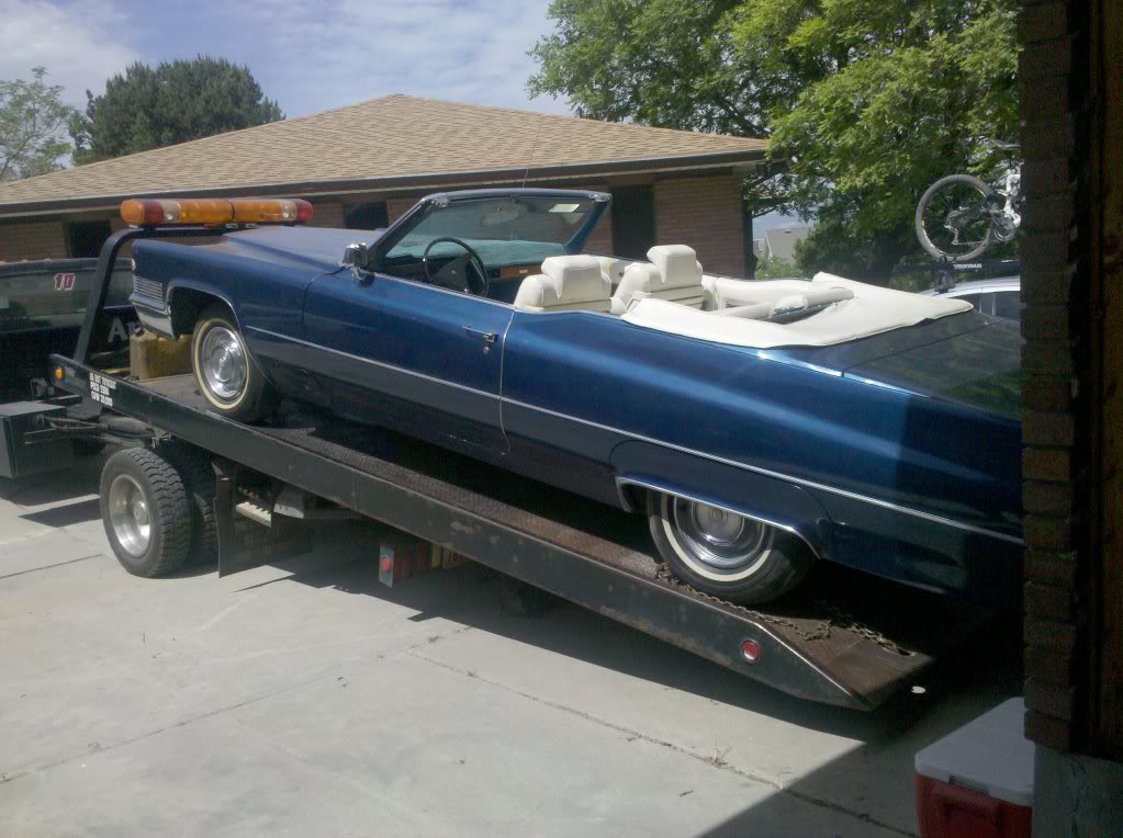 Name:  2010-06-09112827.jpg
Views: 45
Size:  132.9 KB