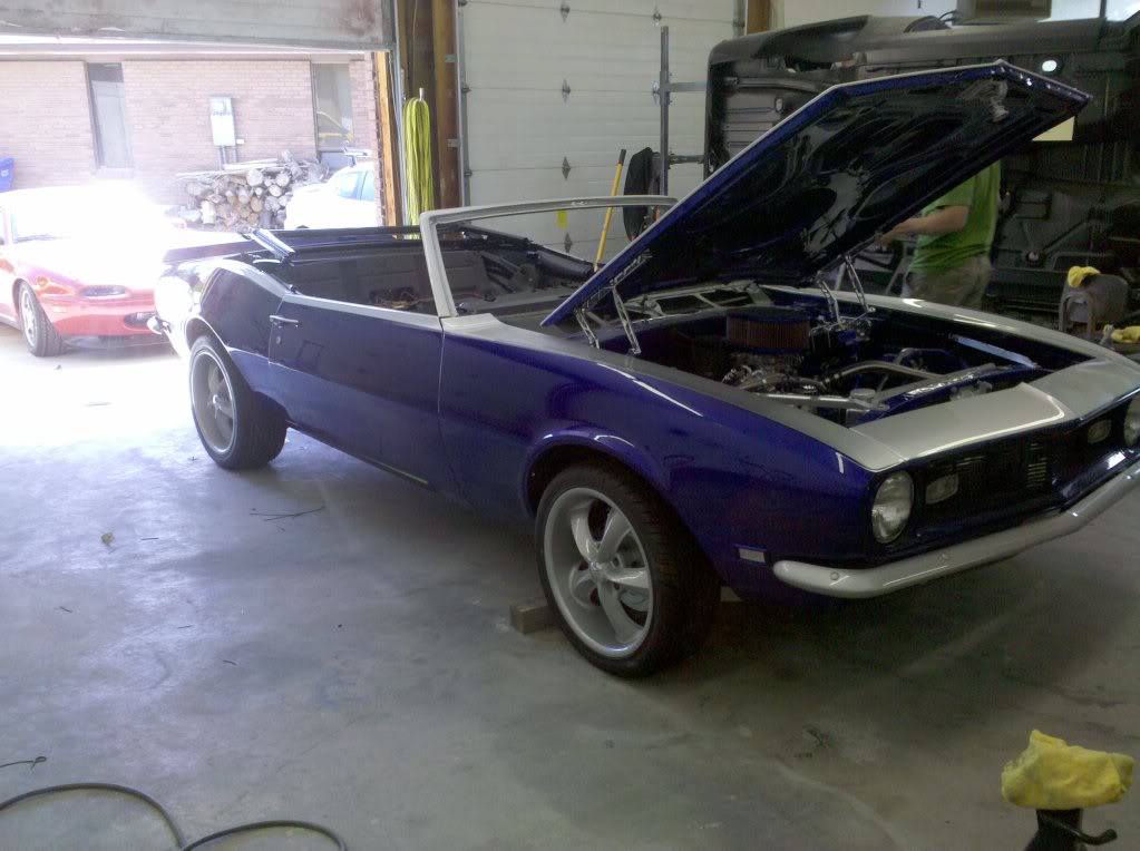 Name:  2010-06-07155900.jpg
Views: 47
Size:  110.1 KB