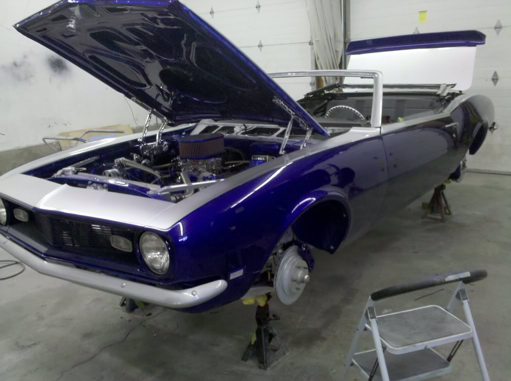 Name:  2010-06-07123723.jpg
Views: 44
Size:  106.3 KB