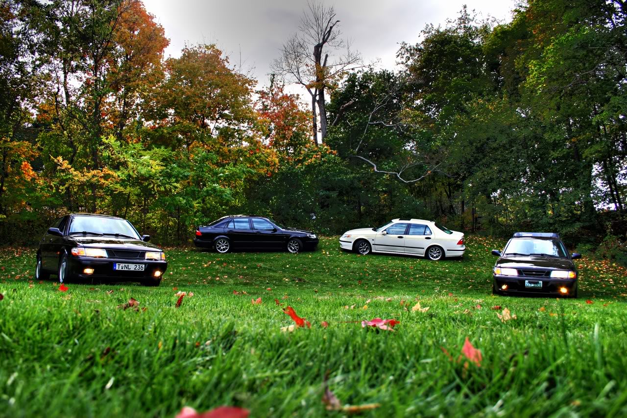 Name:  mini-IMG_8957_5_62.jpg
Views: 87
Size:  355.1 KB