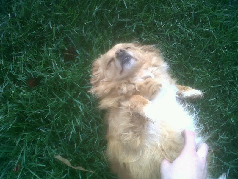 Name:  IMG00051-20100227-1526.jpg
Views: 54
Size:  77.7 KB