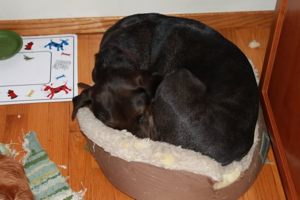 Name:  14832_172024611115_701401115_333873.jpg
Views: 53
Size:  36.0 KB