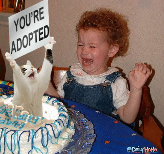 Name:  m25898_your_adopted_cake_cat.jpg
Views: 89
Size:  61.3 KB