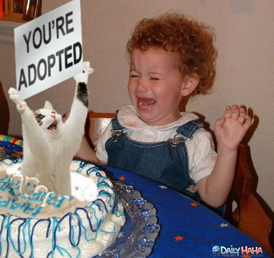 Name:  m25898_your_adopted_cake_cat.jpg
Views: 149
Size:  61.3 KB