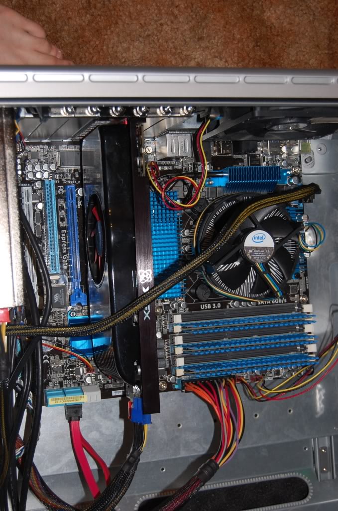 Name:  DSC_0367.jpg
Views: 42
Size:  157.1 KB