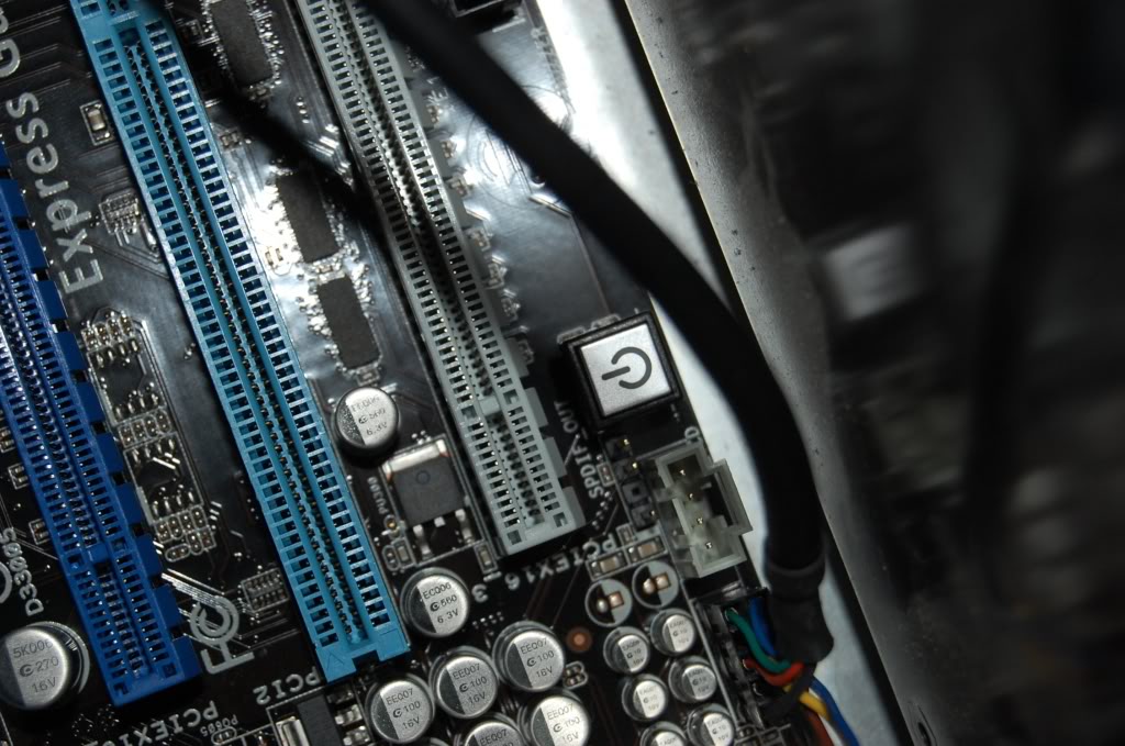 Name:  DSC_0366.jpg
Views: 46
Size:  129.9 KB