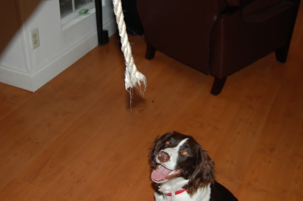 Name:  DSC_0355.jpg
Views: 35
Size:  36.9 KB