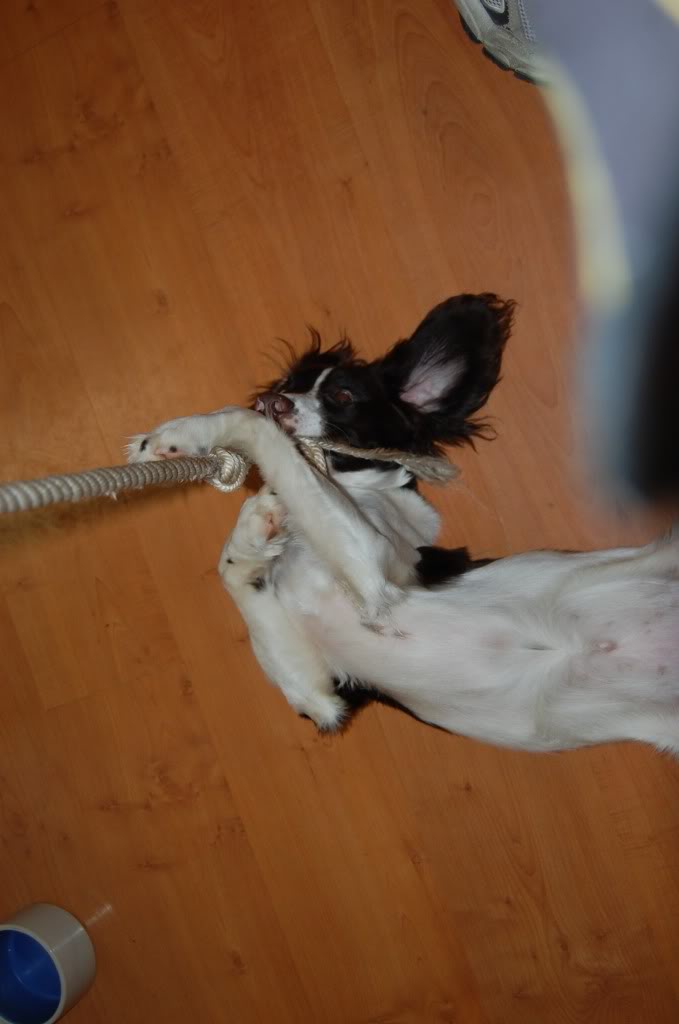 Name:  DSC_0362.jpg
Views: 39
Size:  44.7 KB