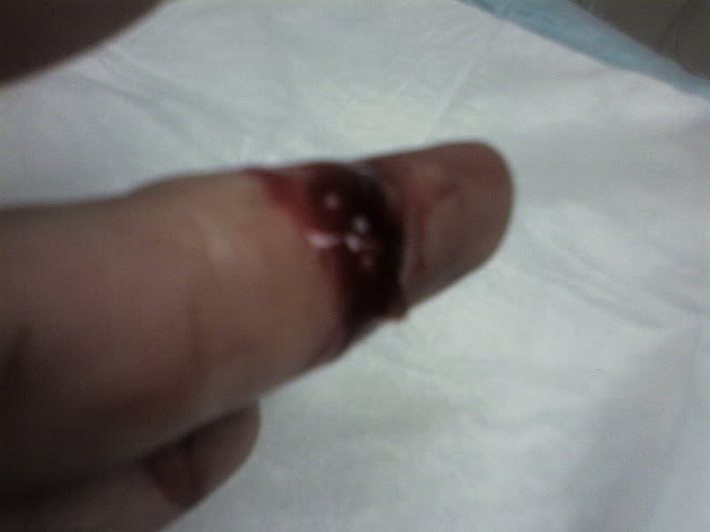 Name:  Nicpics-0038.jpg
Views: 57
Size:  18.3 KB