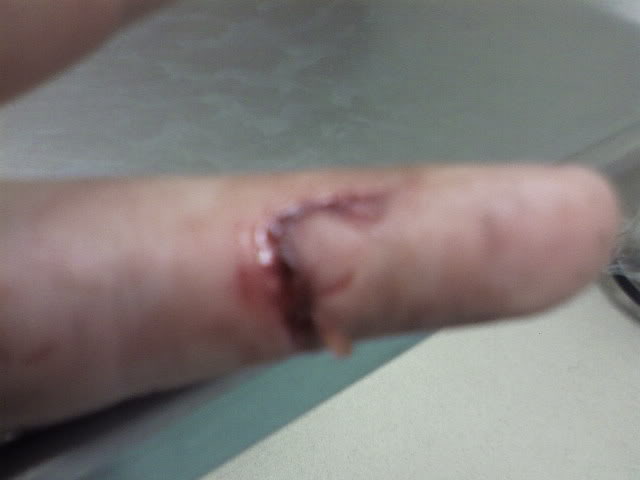 Name:  Nicpics-0037.jpg
Views: 49
Size:  18.3 KB