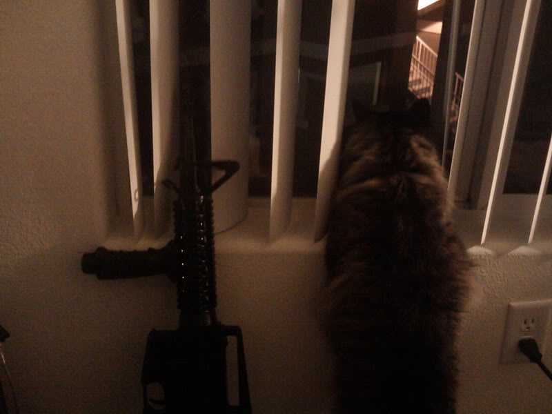 Name:  IMAG0008.jpg
Views: 35
Size:  60.4 KB