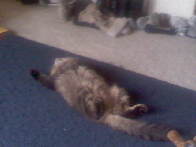 Name:  Us_0079.jpg
Views: 43
Size:  27.1 KB