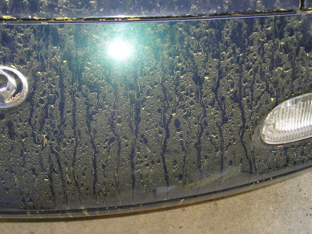 Name:  P1010382.jpg
Views: 106
Size:  139.9 KB