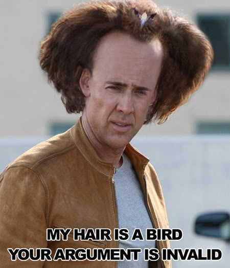Name:  nicolas-cage-hair-is-a-bird.jpg
Views: 93
Size:  42.8 KB
