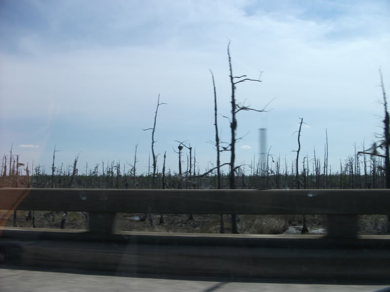 Name:  DSCF0301.jpg
Views: 64
Size:  66.2 KB