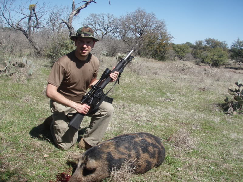 Name:  P3135735.jpg
Views: 102
Size:  180.4 KB