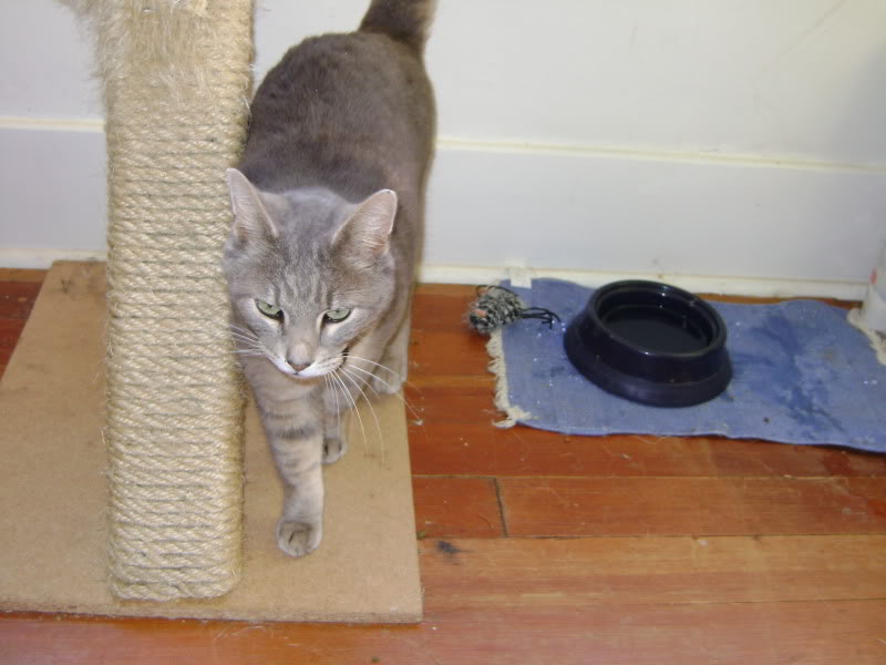 Name:  DSC01753.jpg
Views: 99
Size:  81.0 KB