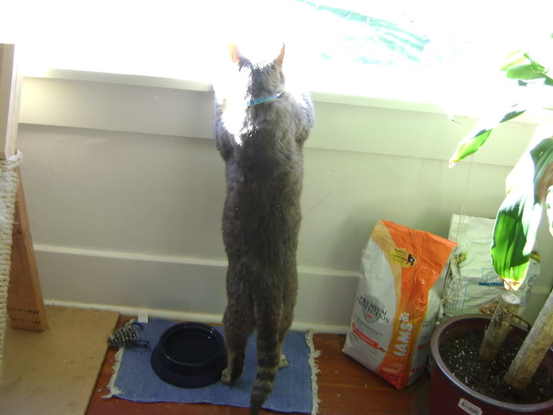 Name:  DSC01750.jpg
Views: 96
Size:  73.9 KB