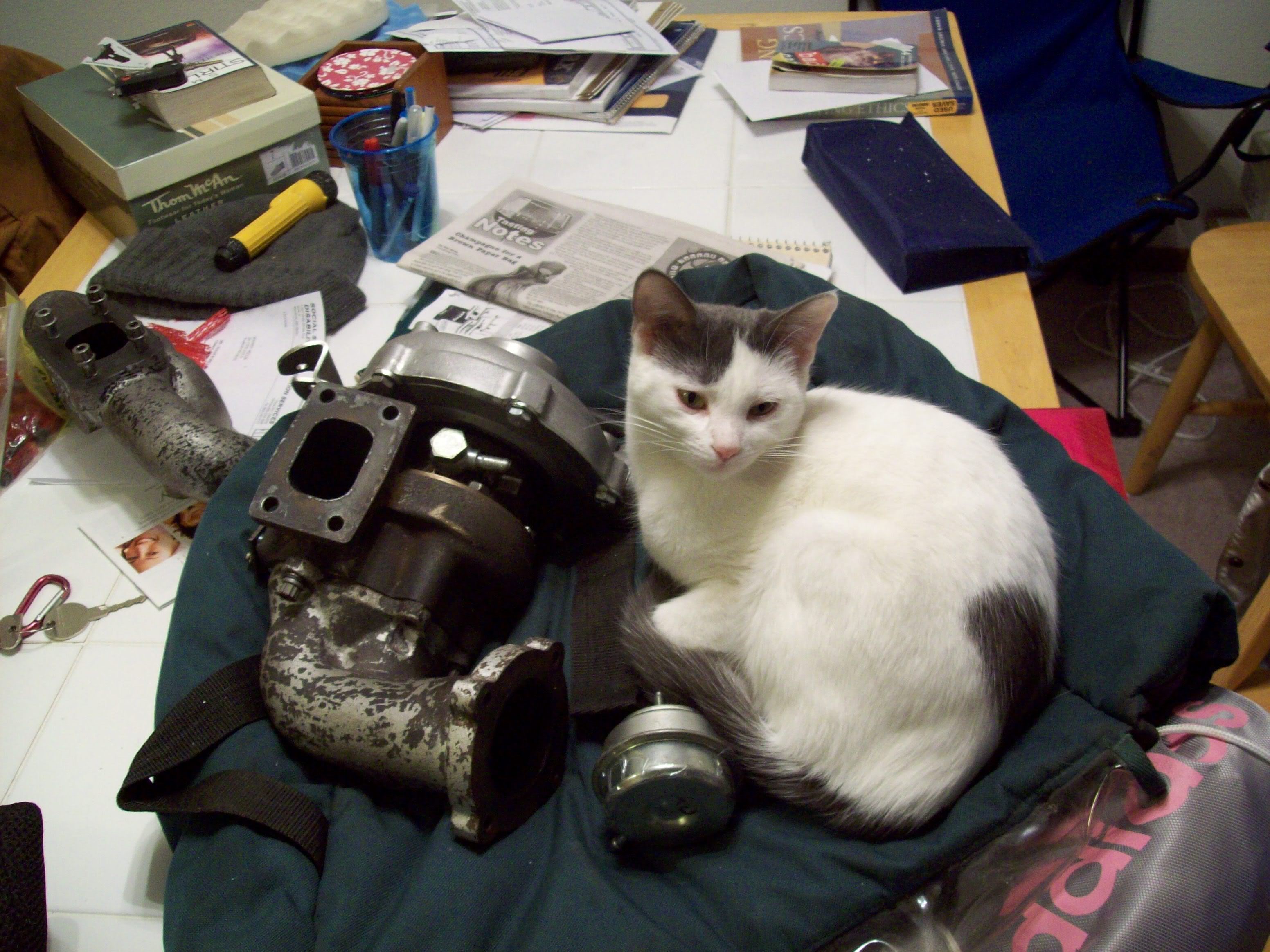 Name:  100_0828.jpg
Views: 64
Size:  760.6 KB