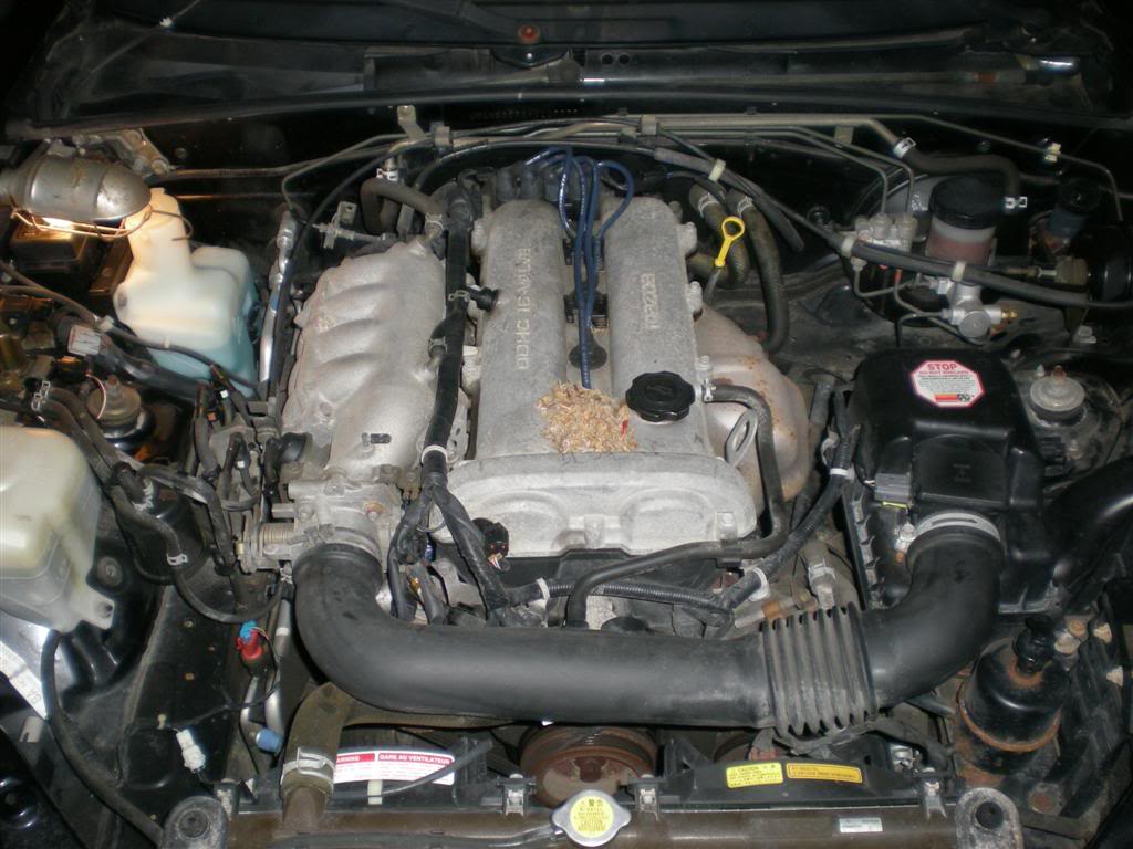 Name:  DSCN2052.jpg
Views: 95
Size:  106.4 KB