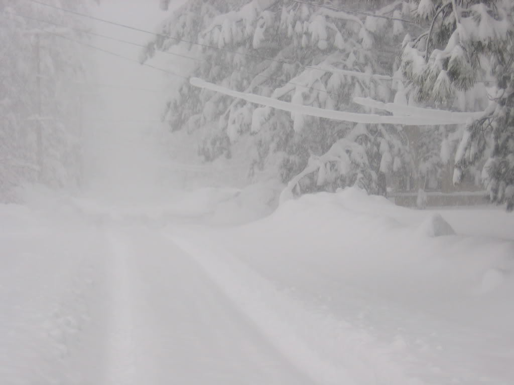 Name:  IMG_1916.jpg
Views: 47
Size:  52.6 KB