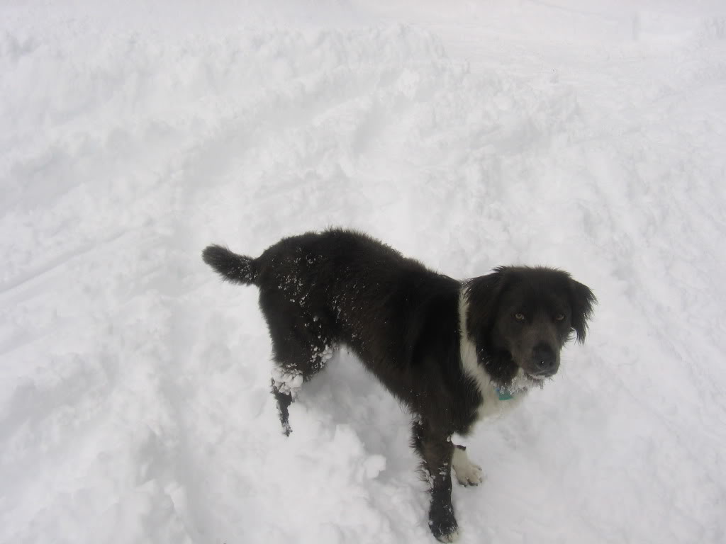 Name:  IMG_1952.jpg
Views: 44
Size:  53.7 KB