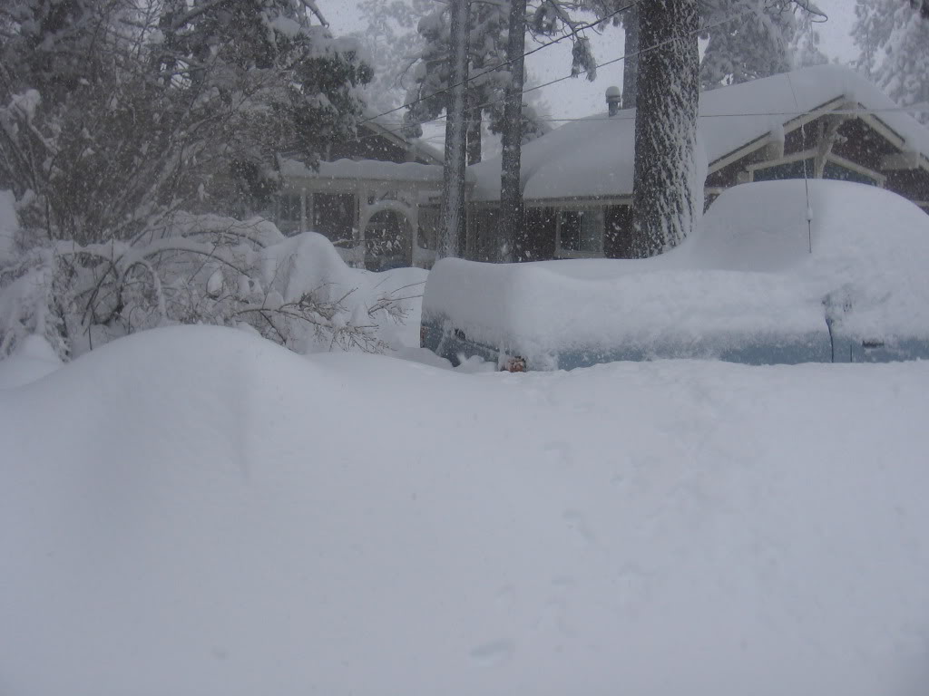 Name:  IMG_1922.jpg
Views: 52
Size:  89.4 KB