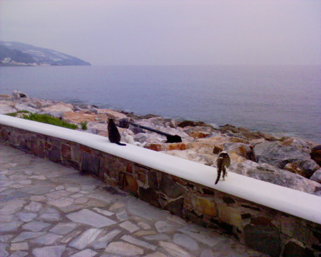 Name:  DSC00216.jpg
Views: 69
Size:  115.7 KB