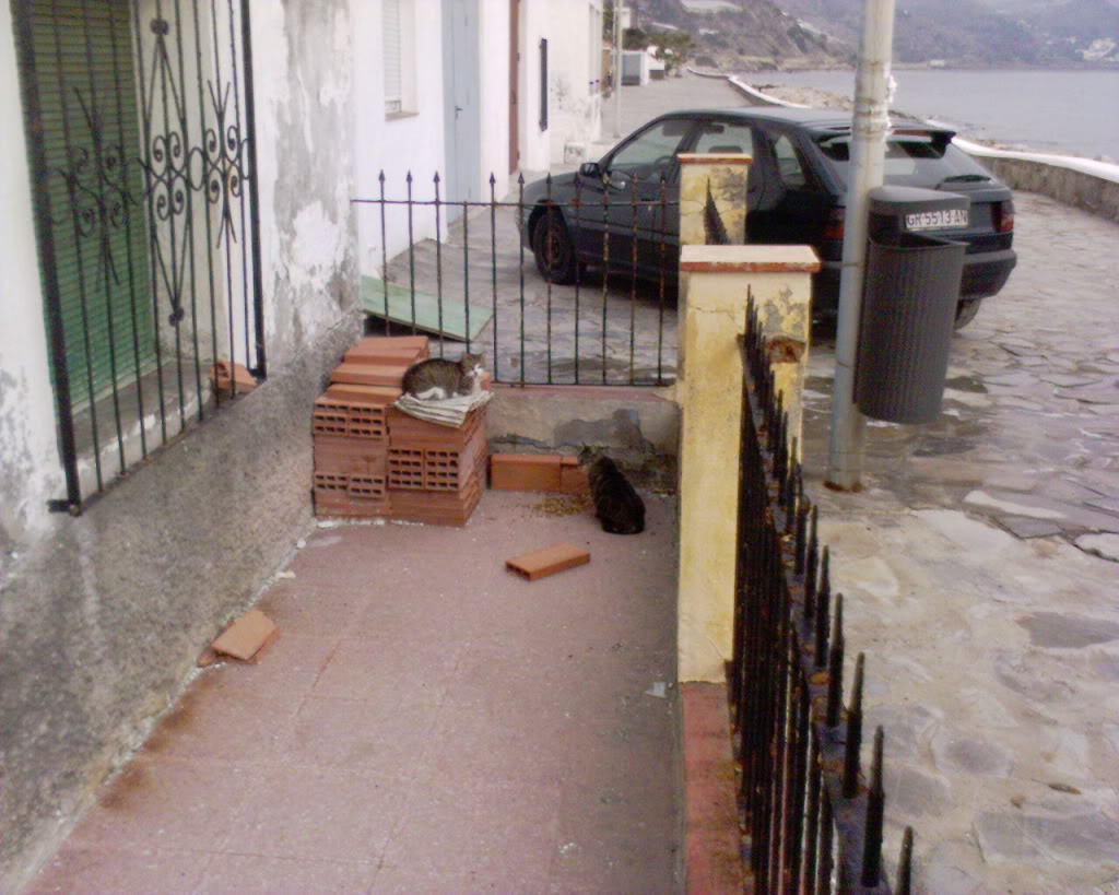 Name:  DSC00217.jpg
Views: 58
Size:  139.8 KB