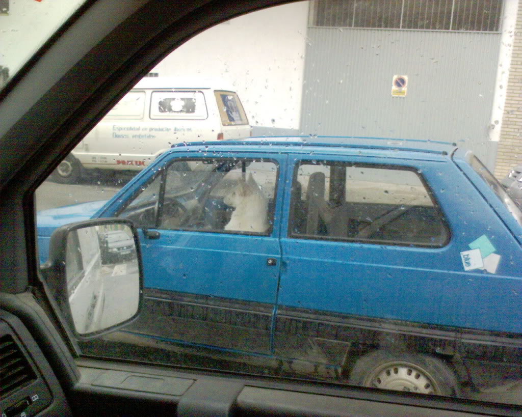 Name:  DSC00222.jpg
Views: 55
Size:  174.2 KB