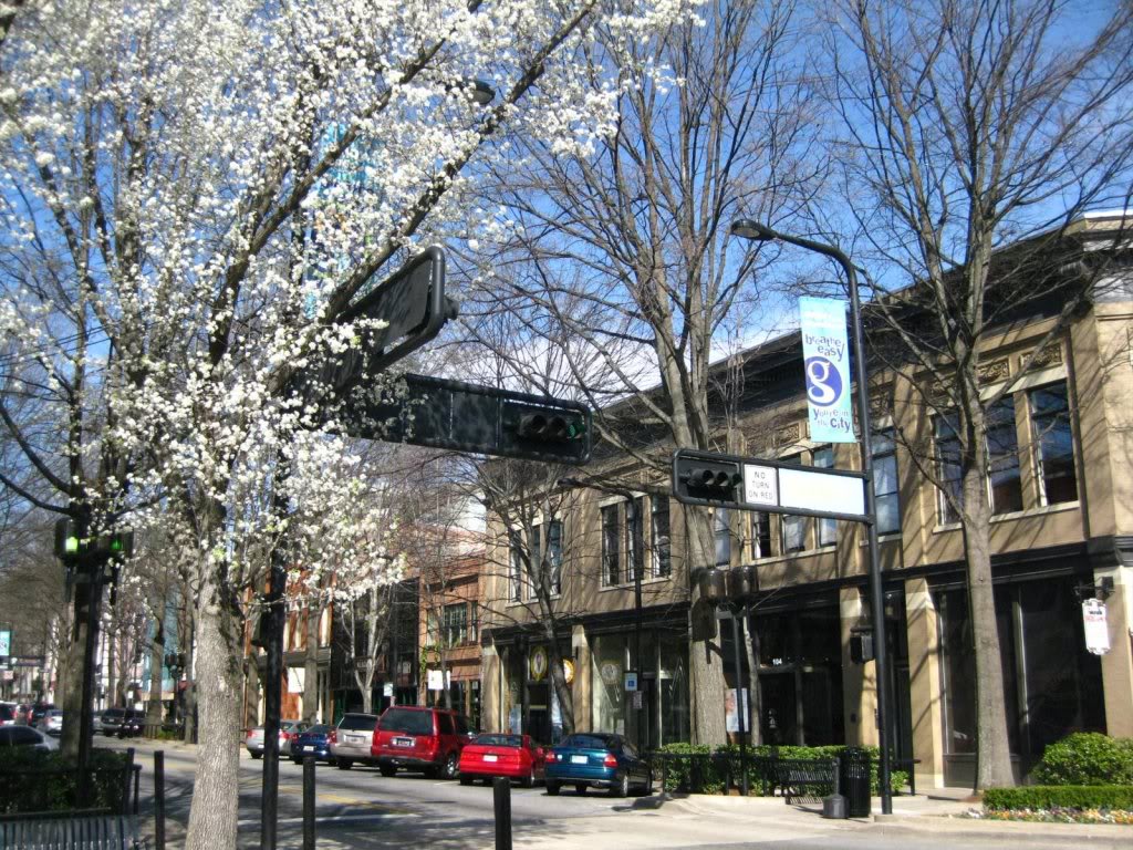 Name:  downtown-greenville1.jpg
Views: 47
Size:  247.5 KB