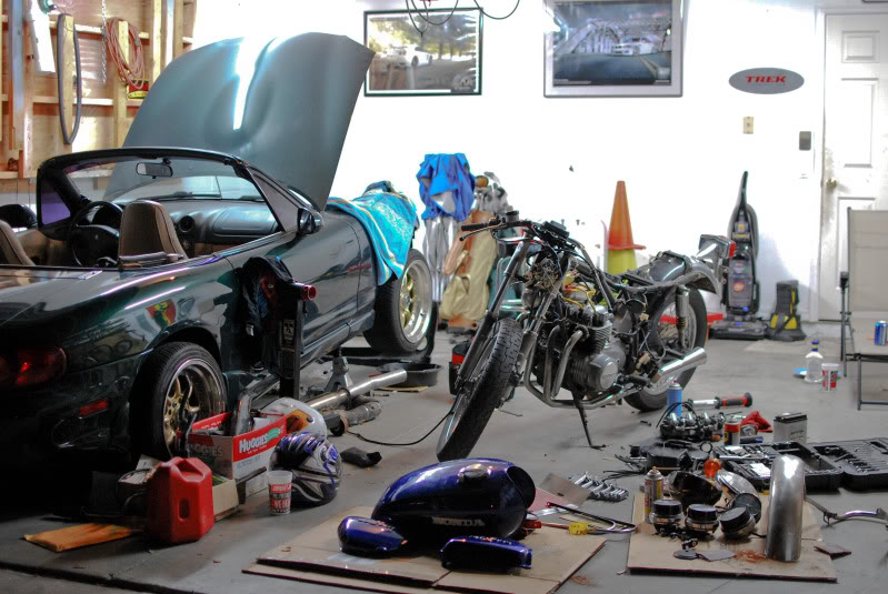 Name:  DSC_6304.jpg
Views: 76
Size:  107.1 KB