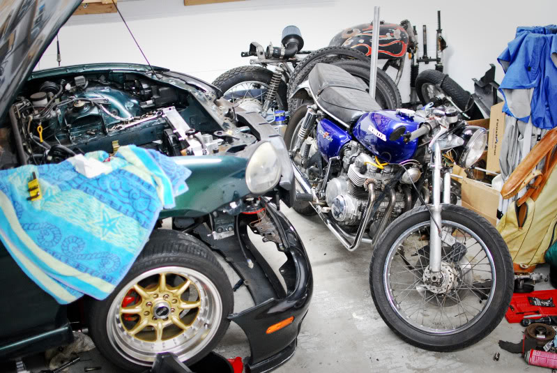 Name:  DSC_6305.jpg
Views: 87
Size:  136.5 KB