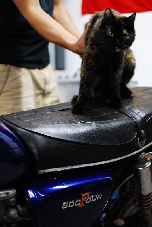 Name:  DSC_6299.jpg
Views: 58
Size:  84.2 KB